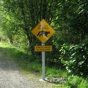 Im Reich des Puma