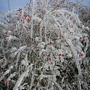 Winterimpressionen Januar 2024
