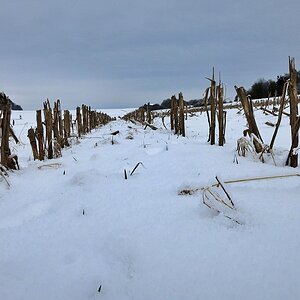 Winterimpressionen Januar 2024