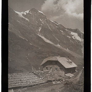 Trauneralm im Fuscher Tal