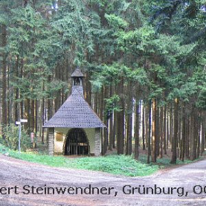 Rote Säule im Hausruckwald (1)