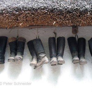 Stiefel