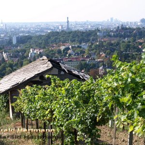 Hüterhütte Nussberg