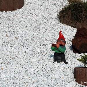 Der traurige Gartenzwerg
