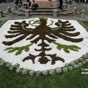 Tiroler Adler Innsbruck