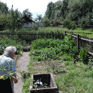 Im Bauerngarten