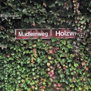 Welchen soll ich nehmen?