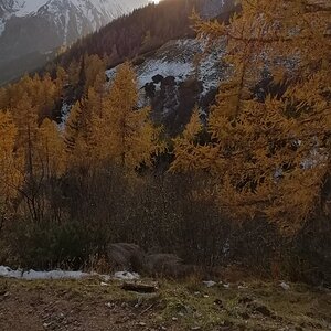 Berge im November