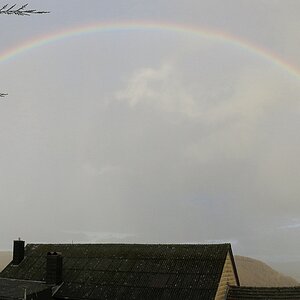 Regenbogen