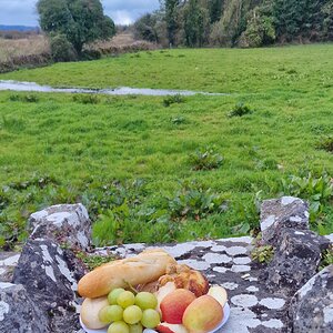 Picknick in Irland, County Tuam