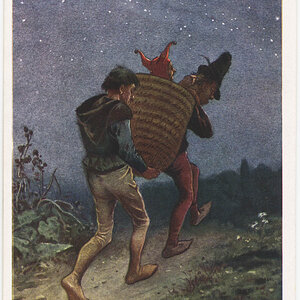 Eulenspiegel im Bienenkorb