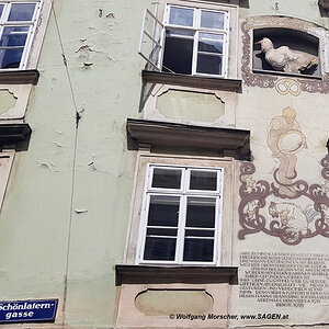 Der Basilisk in der Schönlaterngasse