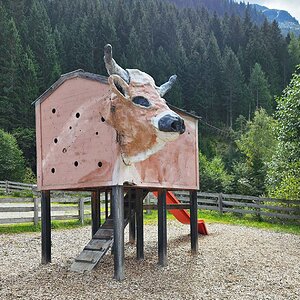 Spielplatz-Kuh Gschnitz