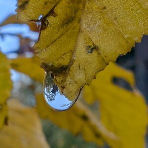 Wassertropfen