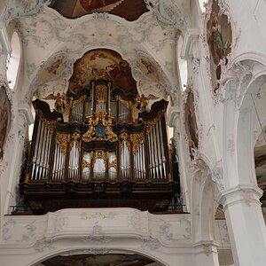 Orgel