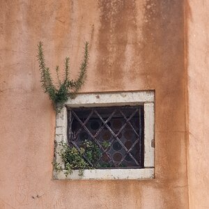 Kräuter am Fenster