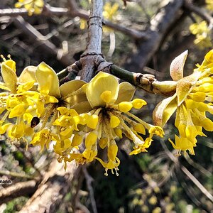 Frühlingsbeginn