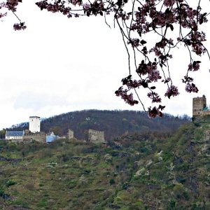 Die Feindlichen Brüder