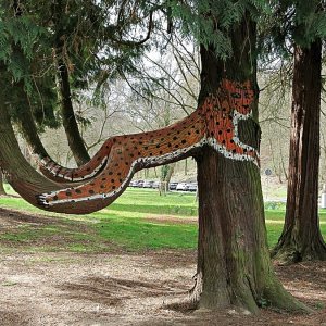 Therapiebaum