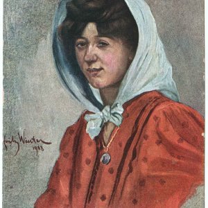 Wiener Typen - A harbe Godl