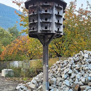 Taubenschlag