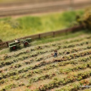 Landwirtschaftliche Details Eisenbahnwelt Rabland