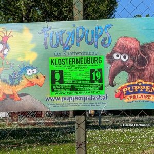 Medium 'Furzipups' in der Kategorie 'Plakatwand, Außenwerbung, Ankündigungen'