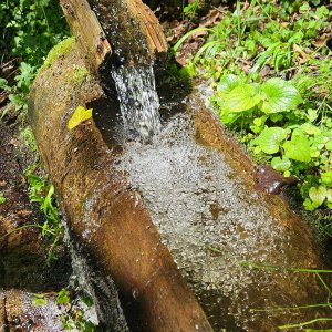 Brunnen am Waalweg, Sonnenberg