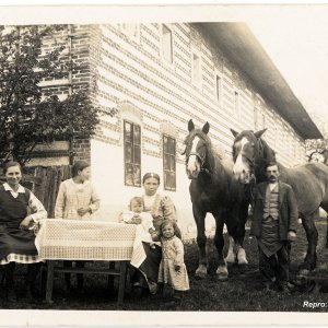Porträt am Bauernhof