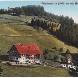 Pfänderspitze mit Hotel und Dohle