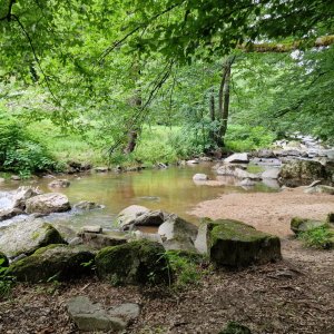 Feldaist bei Pregarten