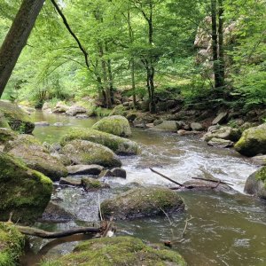 Feldaist bei Pregarten