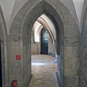 Linz, Dom