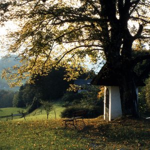 Wallfahrtskirche Frauenstein - Marterl im Jahr 1973