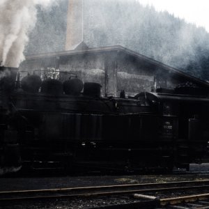 Erzbergbahn bei Haltestelle Glaslbremse 1973
