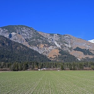 winter 2