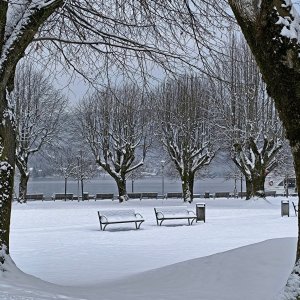 Winter 4