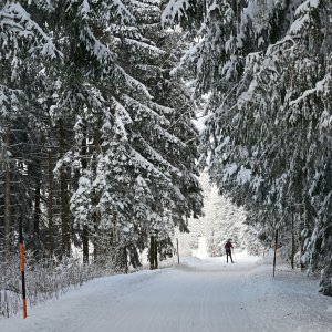 Winter 5
