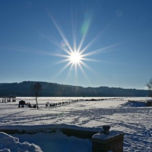 Winter 6