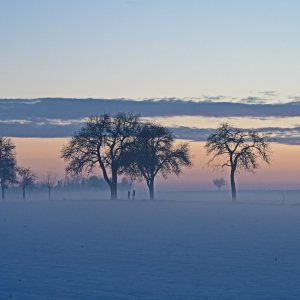 winter