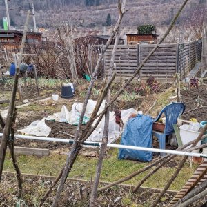 Monobloc im Kleingarten, Leoben