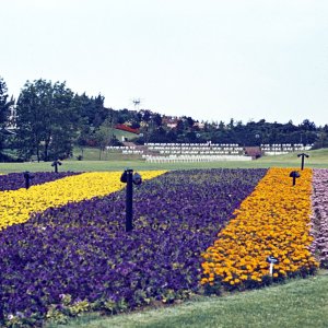 WIG 74, Blumenwiesen