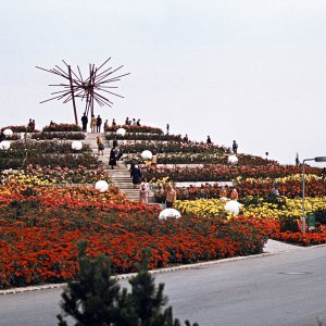 Skulptur am Rosenberg - WIG 74
