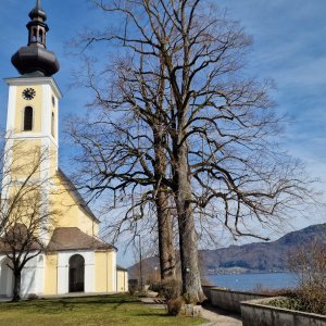 Maria Attersee