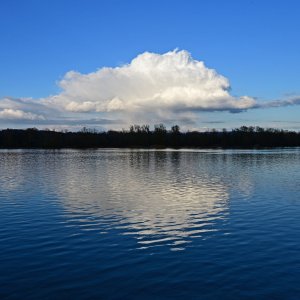 Aschach, Donau