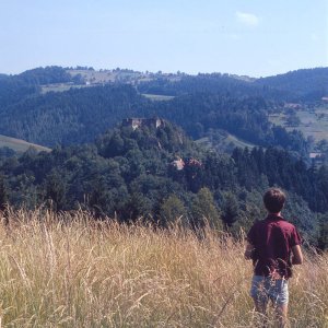 Burgruine Oberwallsee um 1964