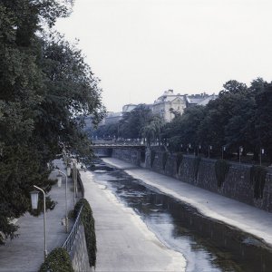 Wienfluss im Wiener Stadtpark Ende 1950er Jahre
