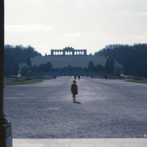 Porträt Schönbrunn Gloriette