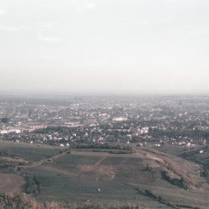 Wien vom Kahlenberg September 1956