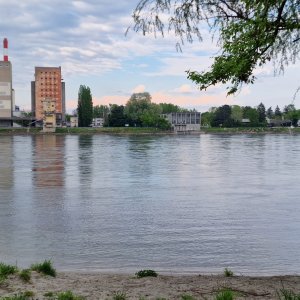 Donau bei Klosterneuburg